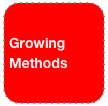 Growing Methods